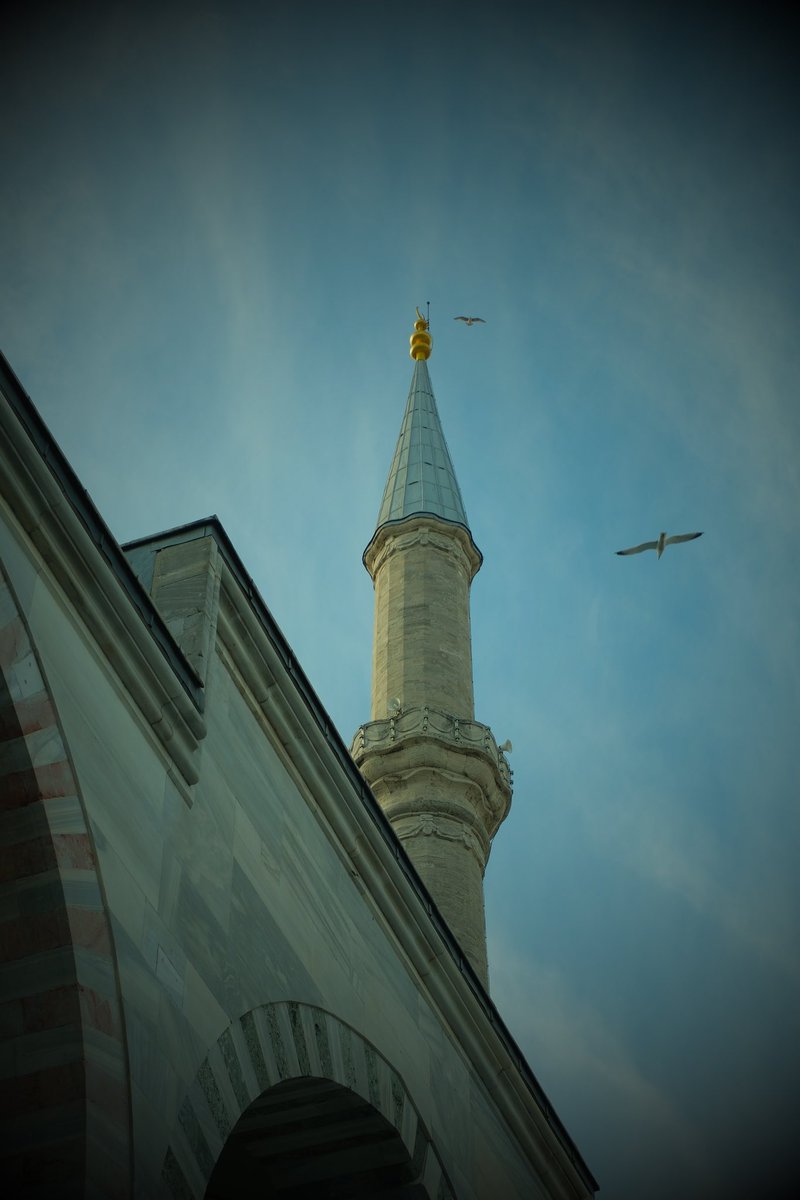 Fatma Nur tweet media