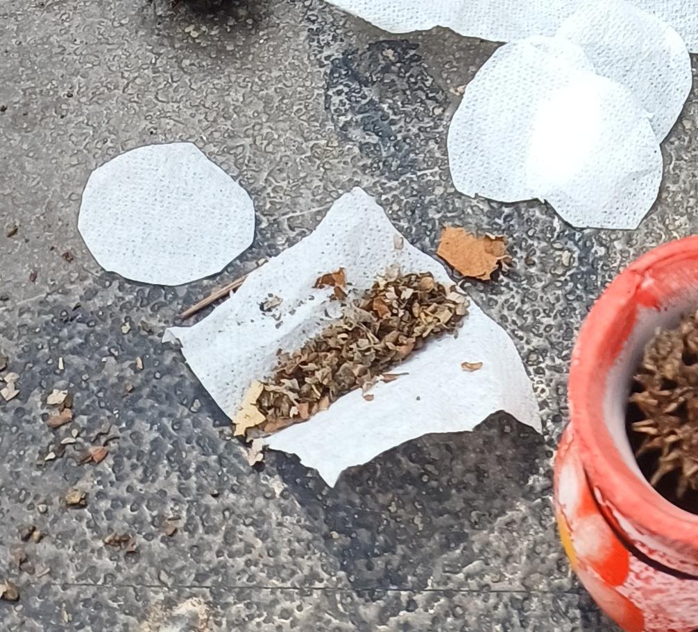 - Toma tía Pesh, te hice un taco!!

Menos mal que me lo aclaró, ya me estaba emocionandoooooooooooohhhhhhhhhhhquélaaaaaaaa!!!!