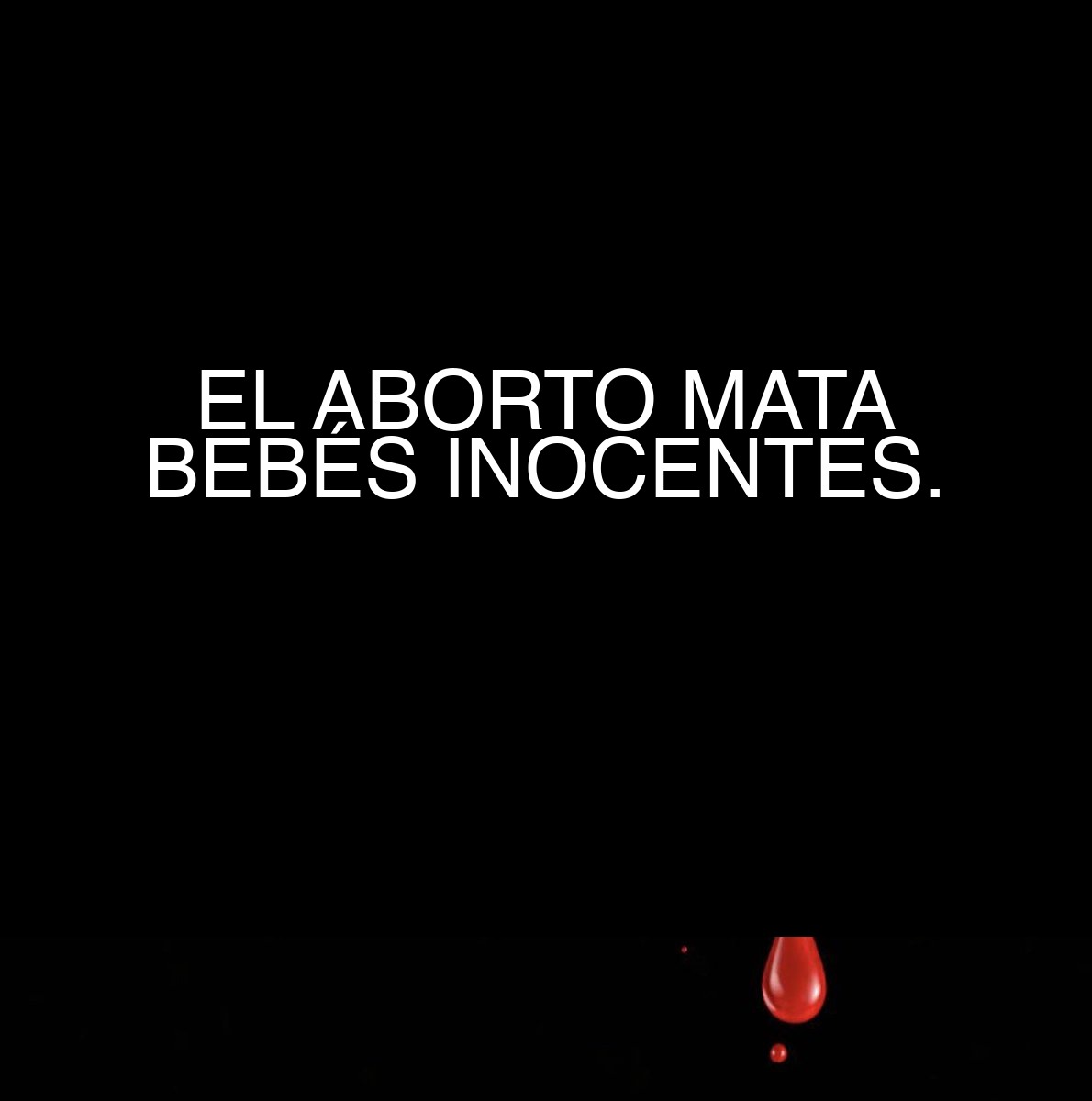 Ignacio Arsuaga tweet media