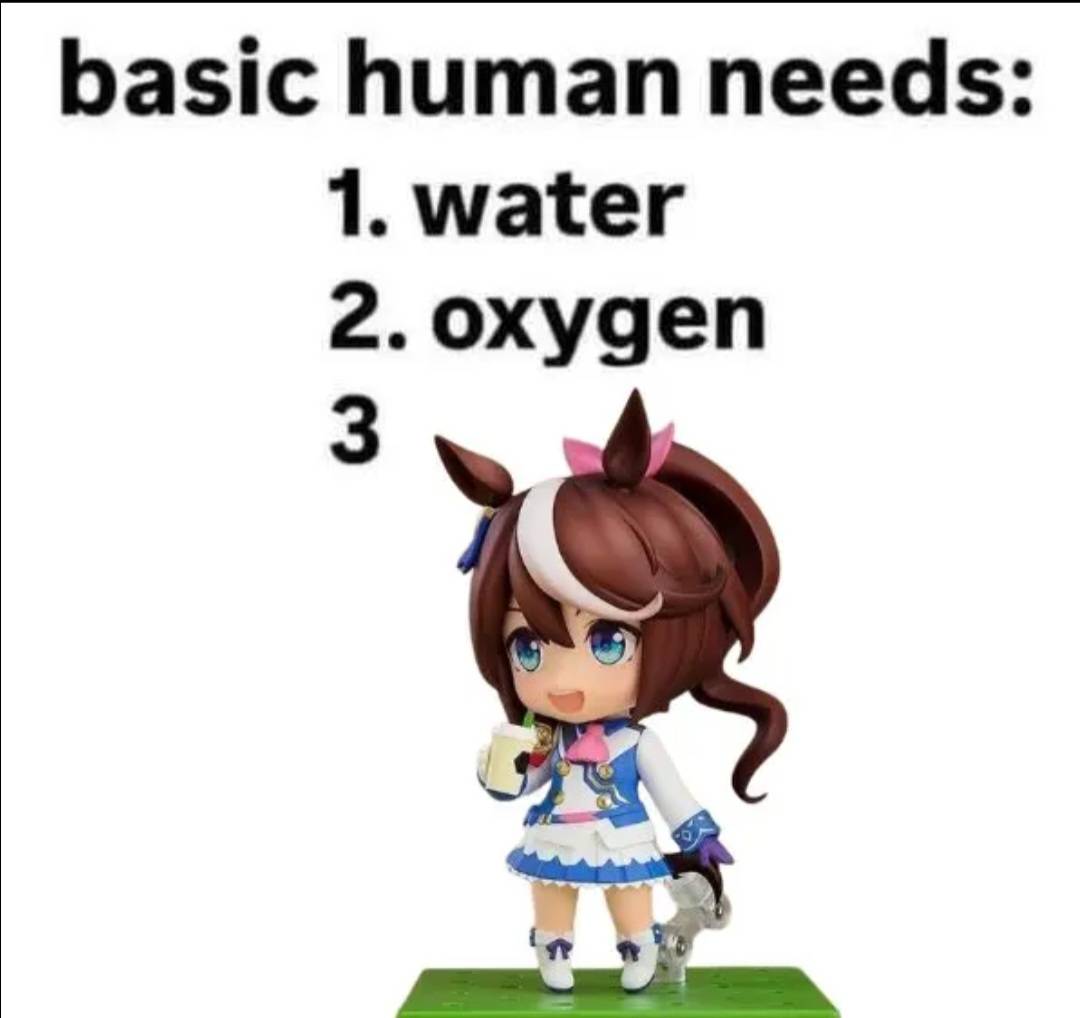 JakeSteel3302 tweet media