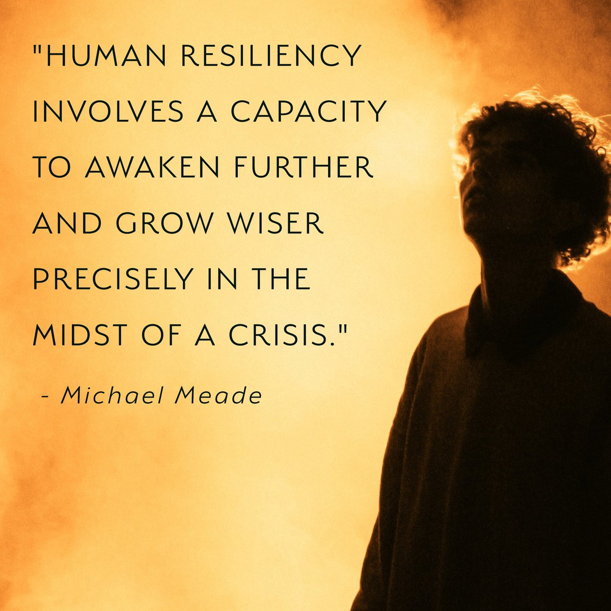 Michael Meade tweet media