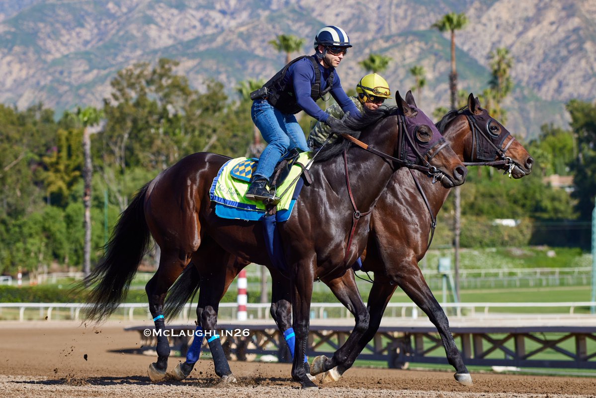 J McLaughlin Safford tweet media