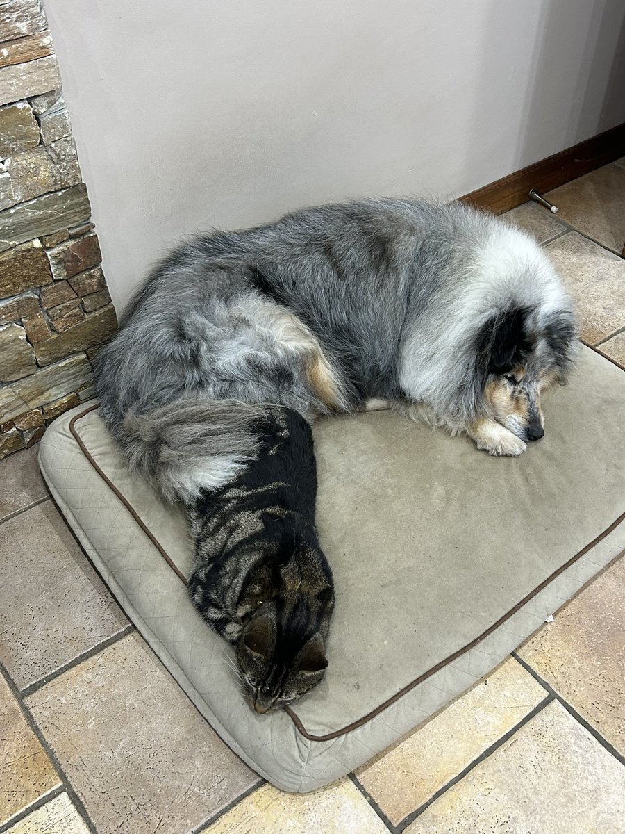 Breeda Breen tweet media