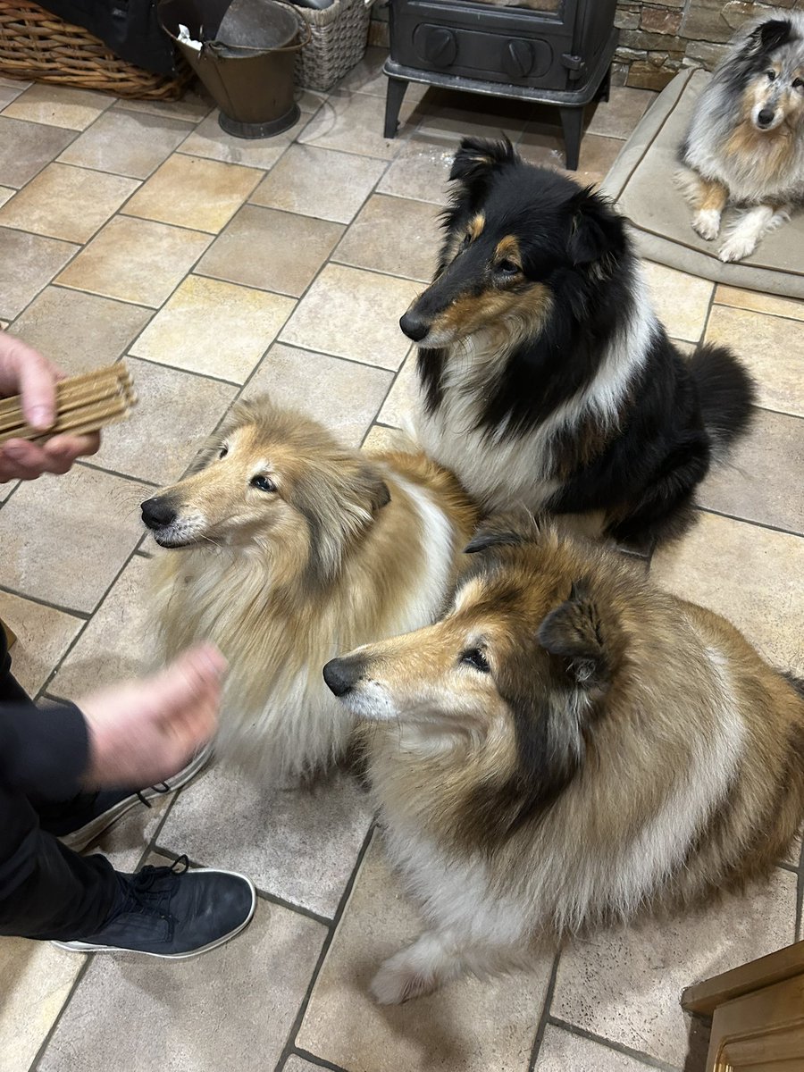 Breeda Breen tweet media