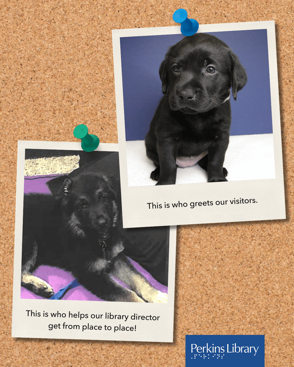 Perkins Library tweet media