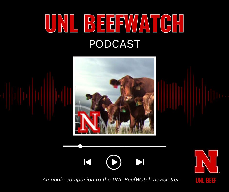 UNL Beef tweet media