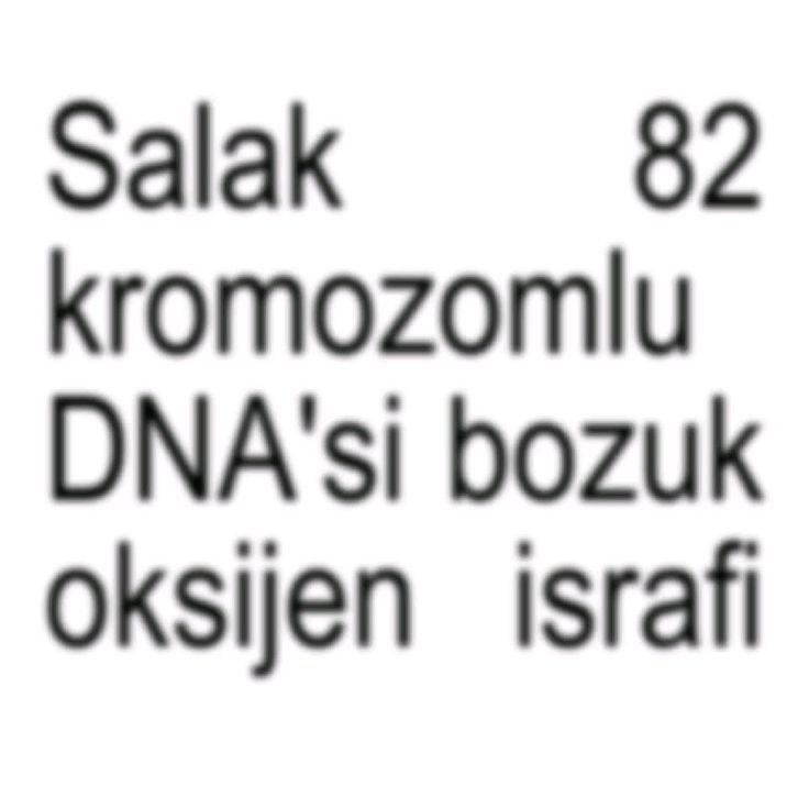borika35's tweet photo. @KurdimAfrin @hegelvckoa https://t.co/GzTzaieejz