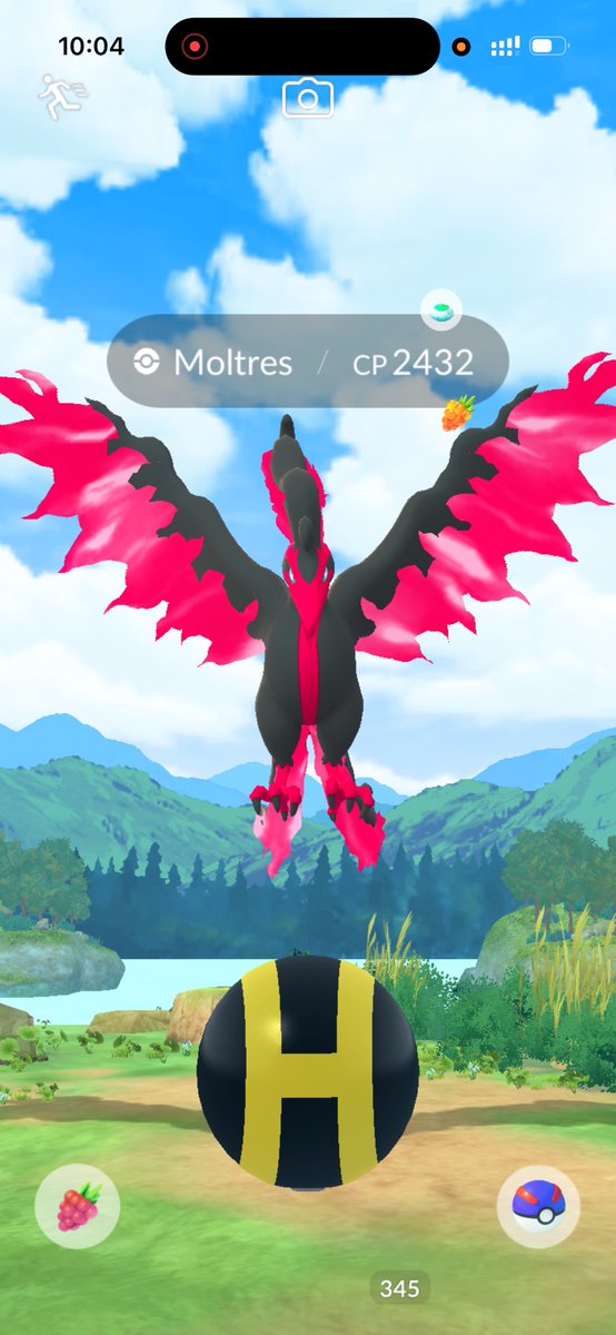 Galarian birds with normal incence 👀