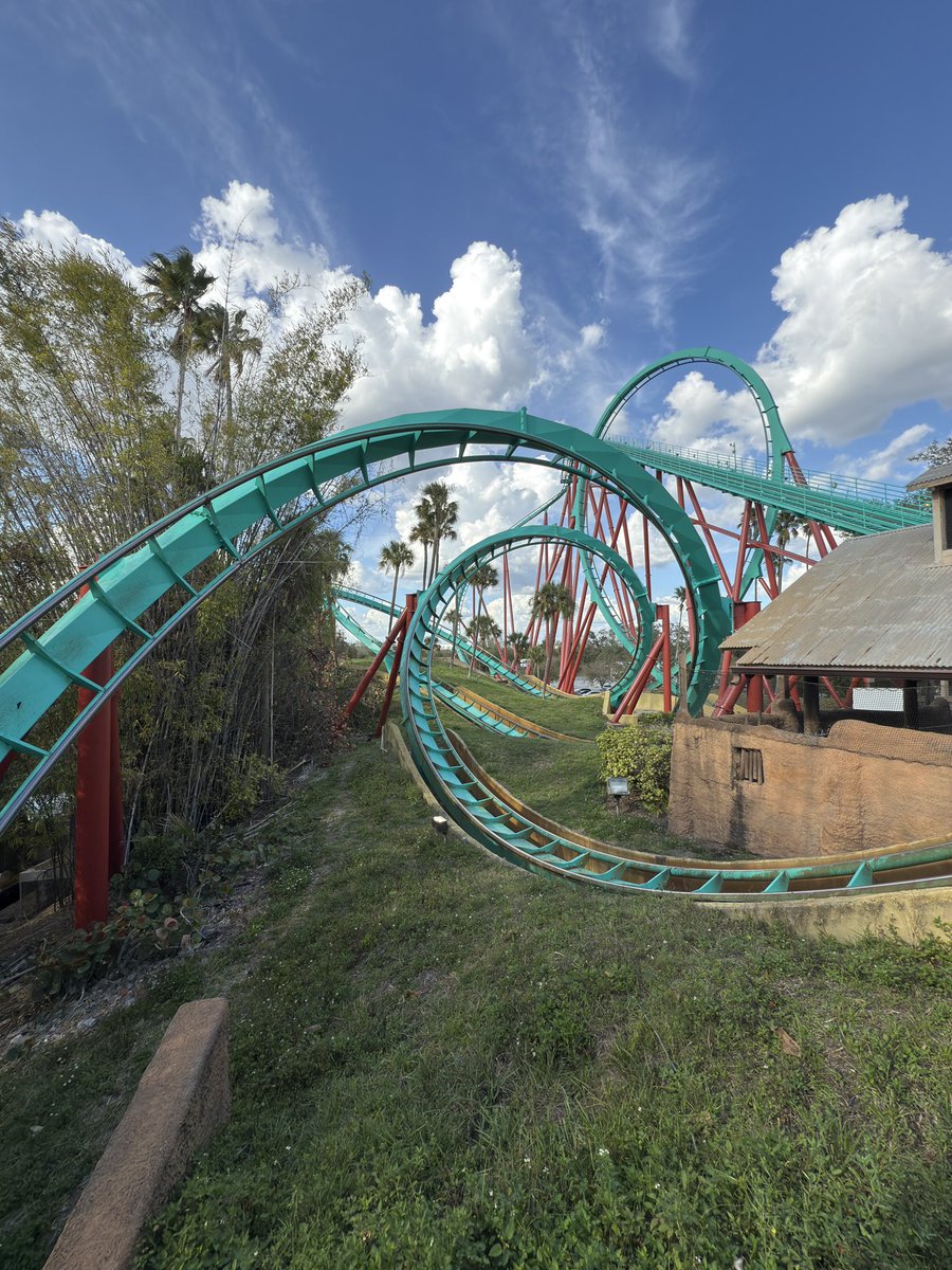 Amusement Insider tweet media