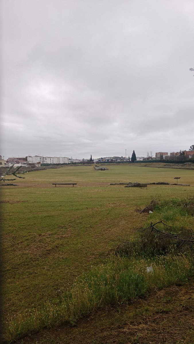 Mérida Y Más - Visitas Guiadas (Pilar) tweet media