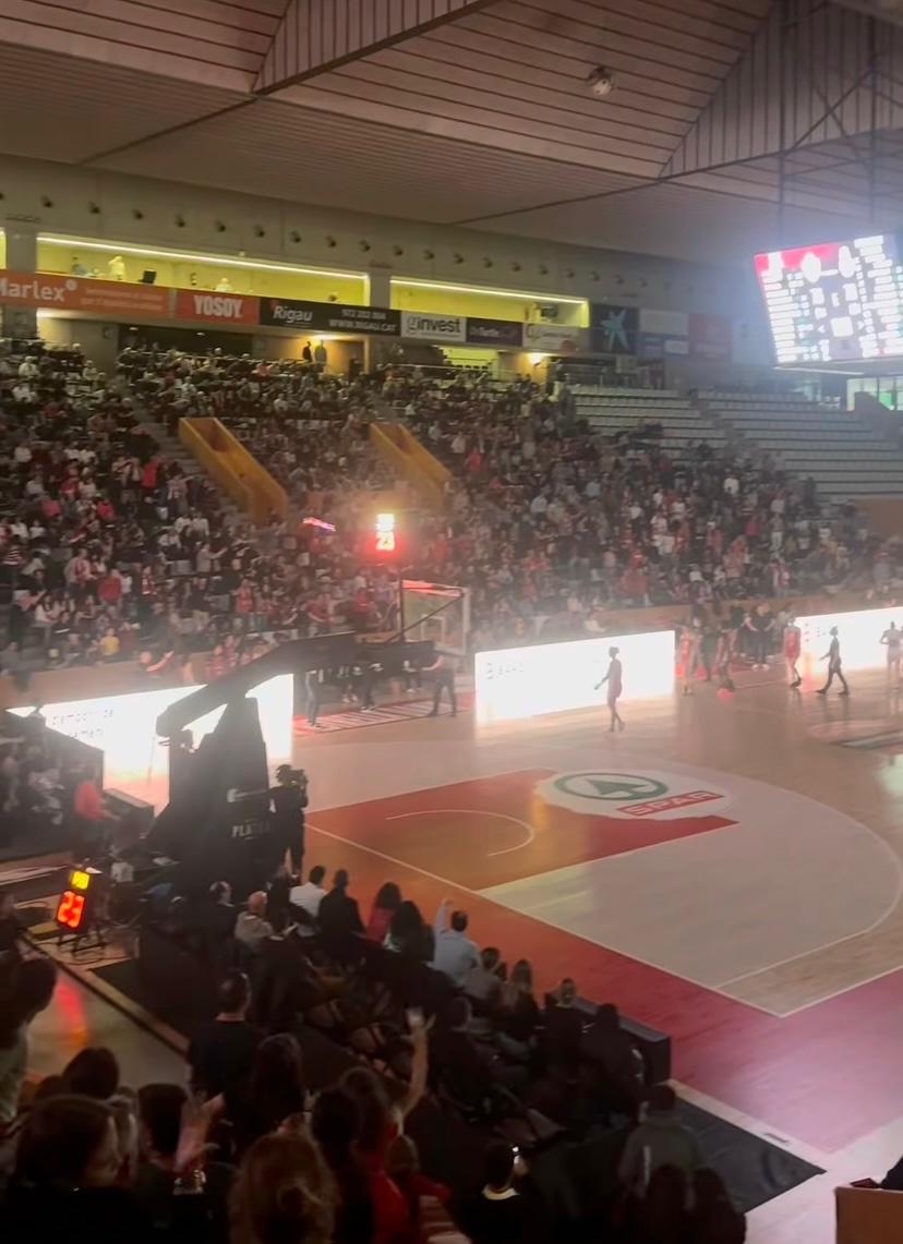 Aliança Catalana-Gironès tweet media