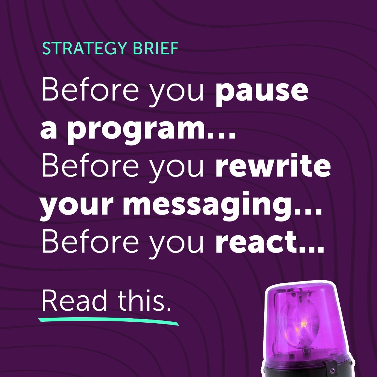 Seramount tweet media