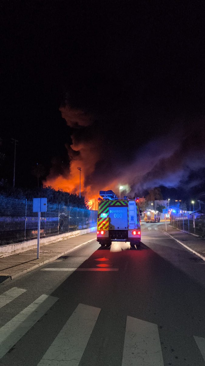 TenenciaSanPedroAlc tweet media