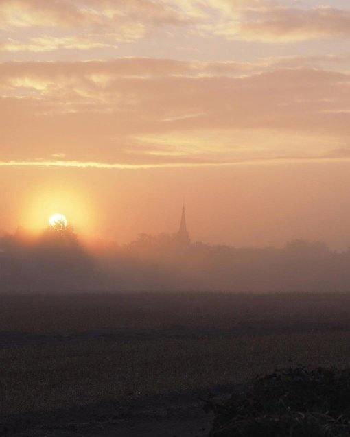 Mastermind. tweet media