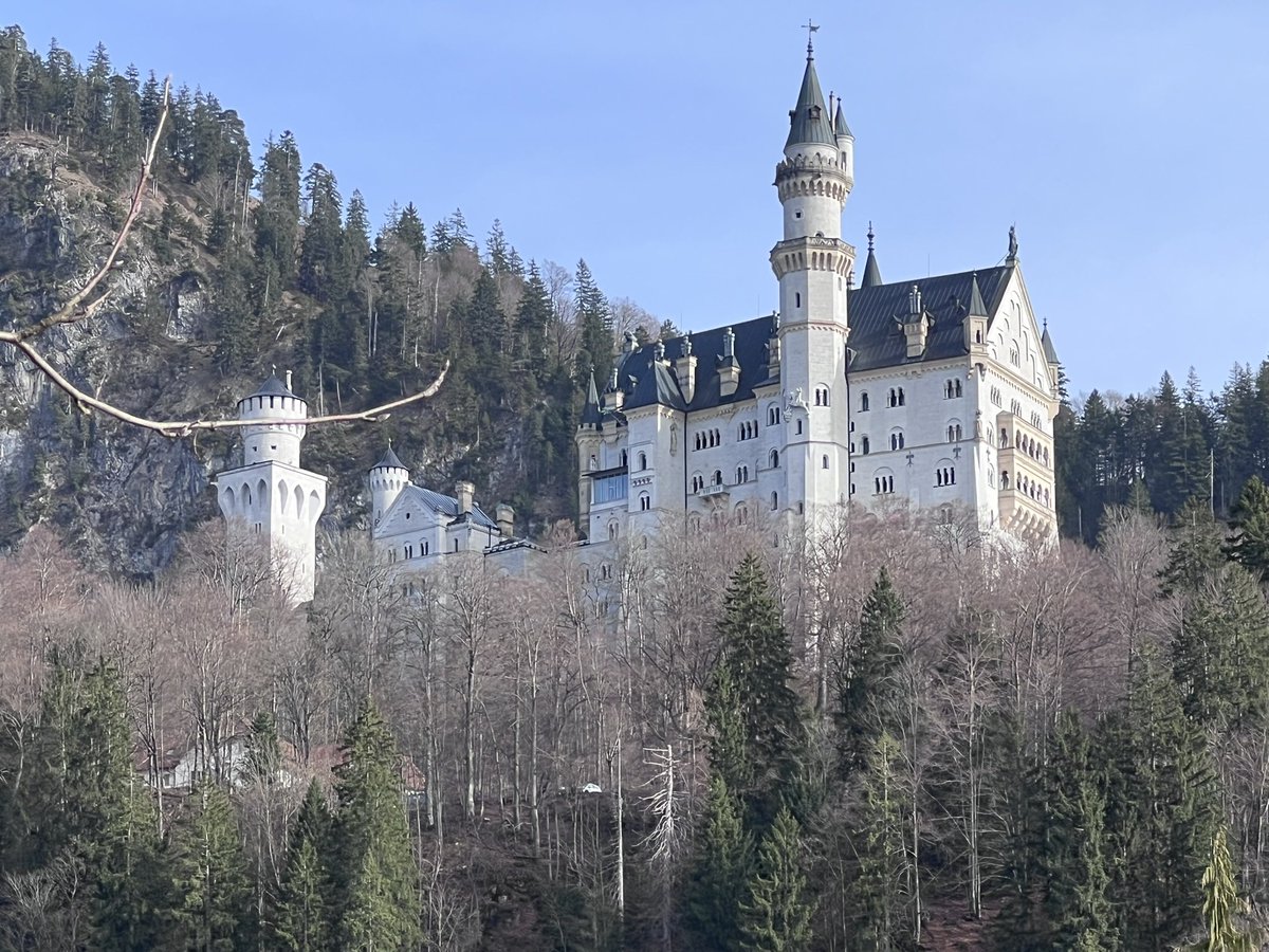 TheItalianProperJob tweet media