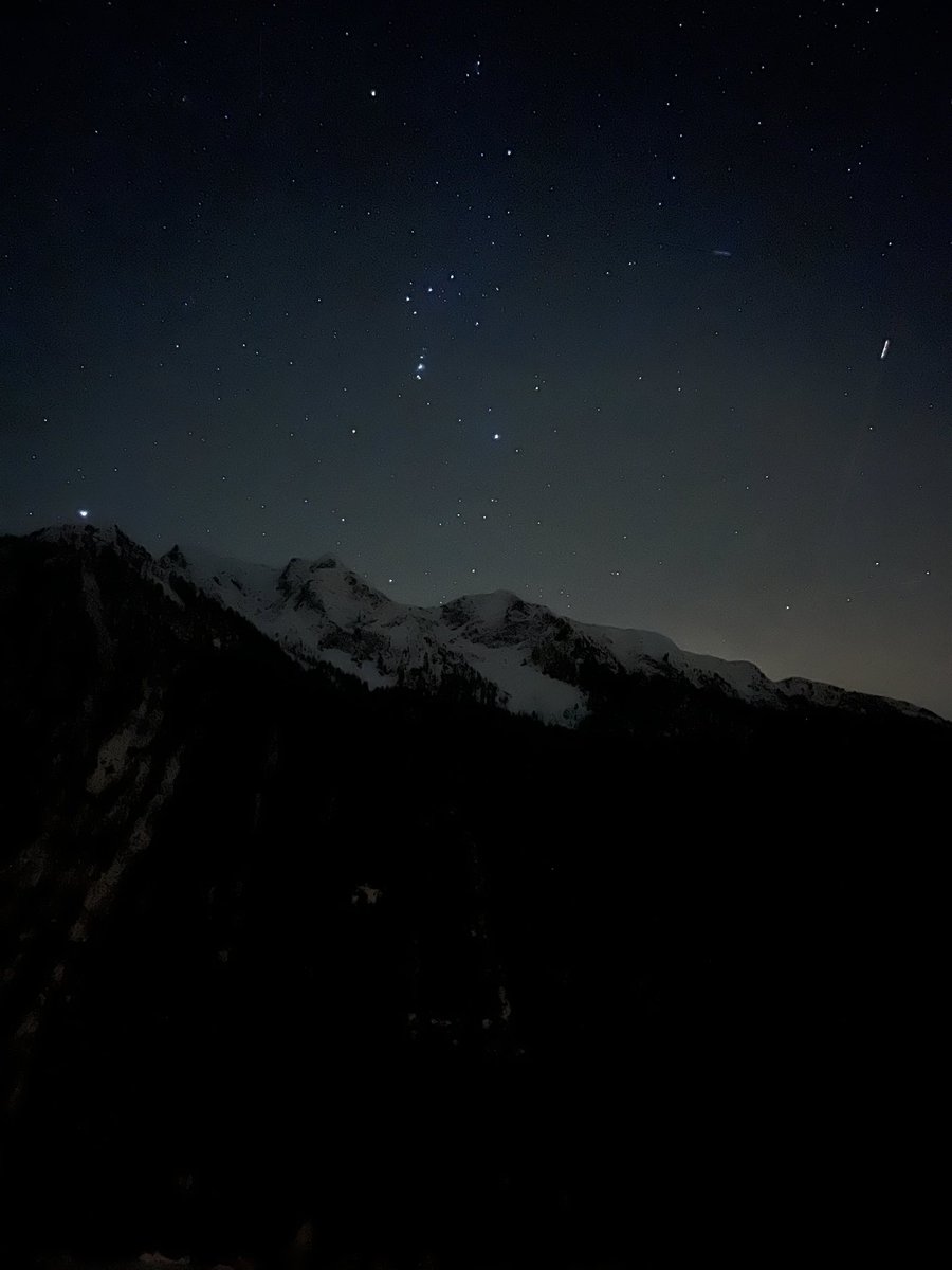 TheItalianProperJob tweet media