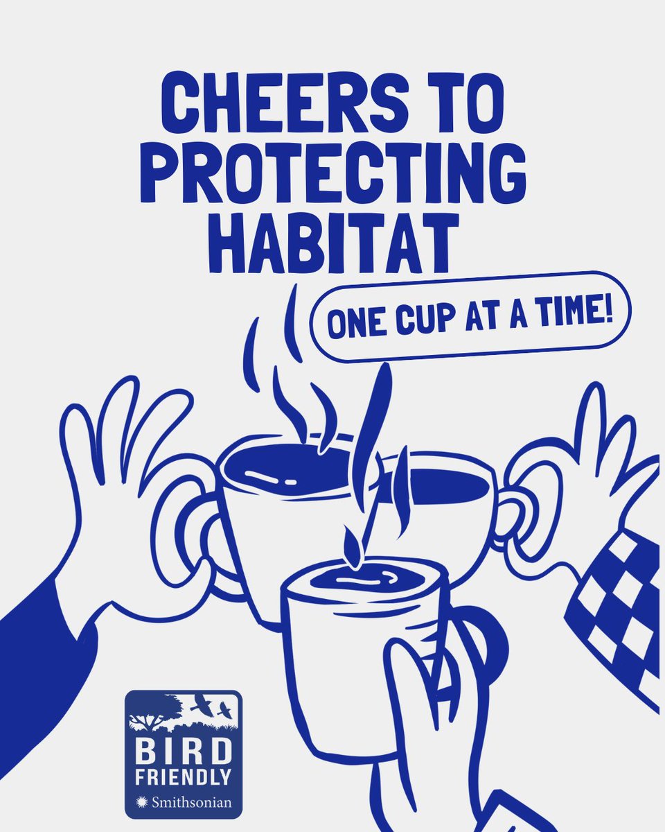 Smithsonian Migratory Bird Center tweet media