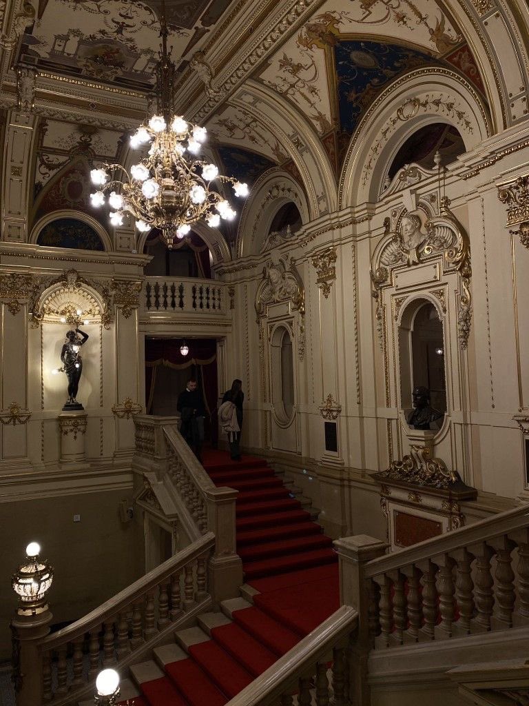 𝐍𝐨𝐜𝐭𝐮𝐫𝐧𝐞 tweet media