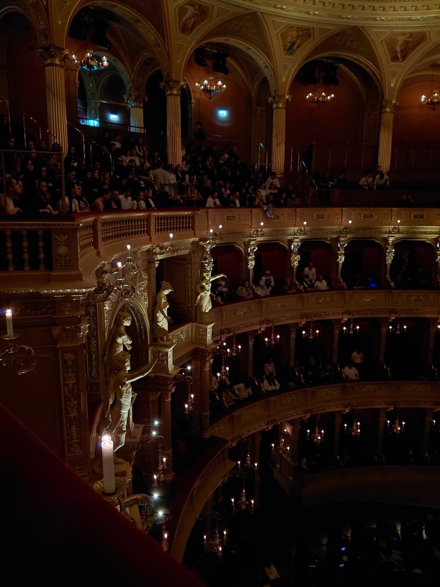 𝐍𝐨𝐜𝐭𝐮𝐫𝐧𝐞 tweet media