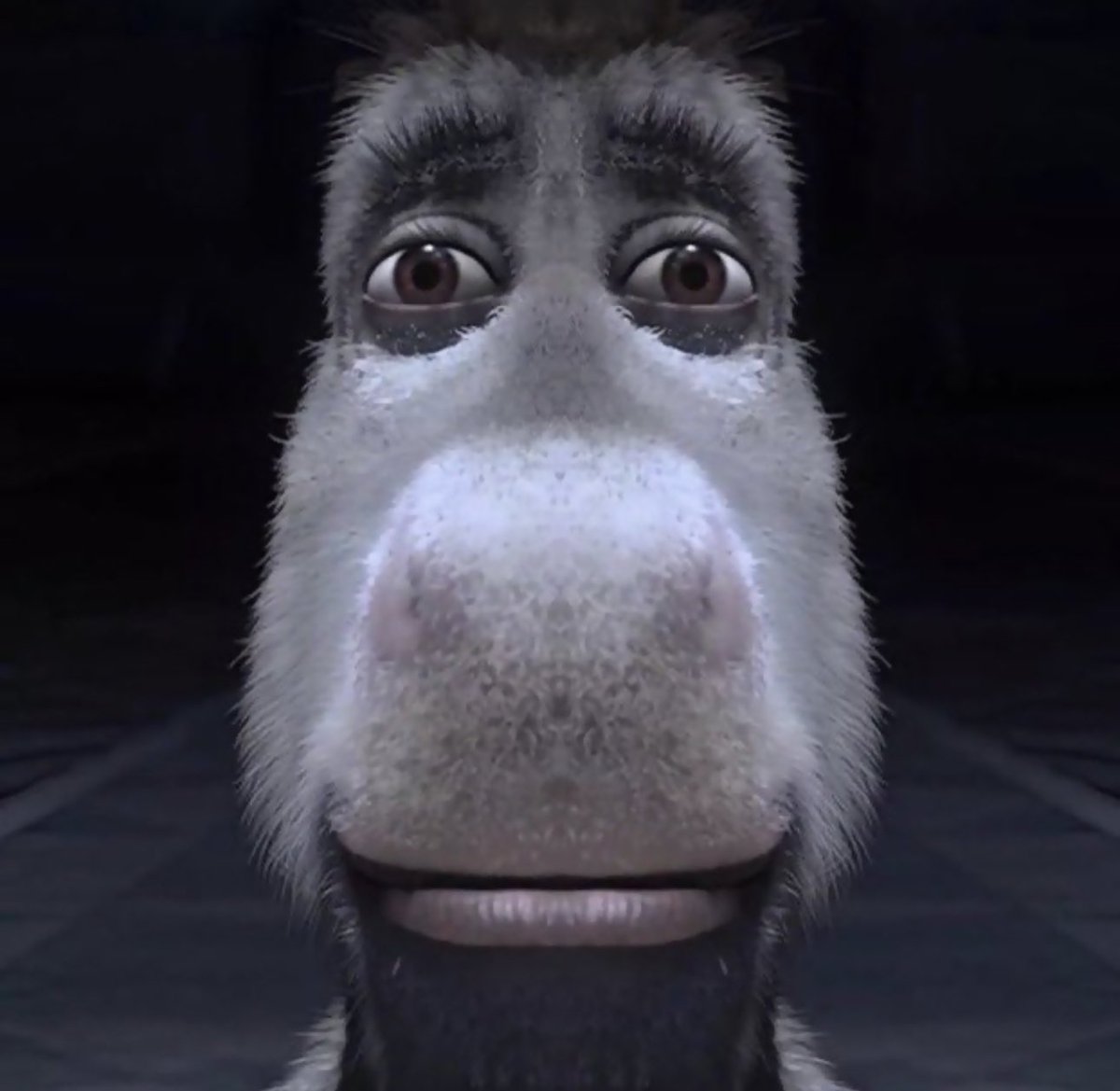 logicogs tweet media