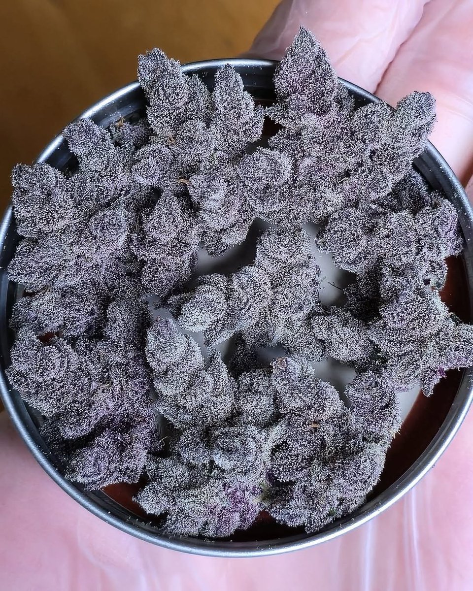 Cali Green Grower tweet media