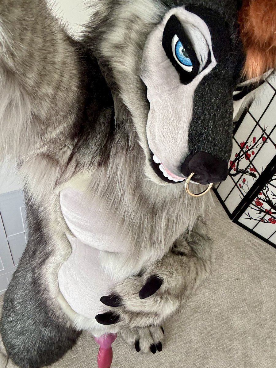 Howl n’ Whine 🖤✨ tweet media