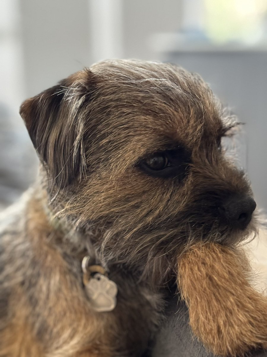 Aston&Molly(CJ&LennyBTs🌈) tweet media