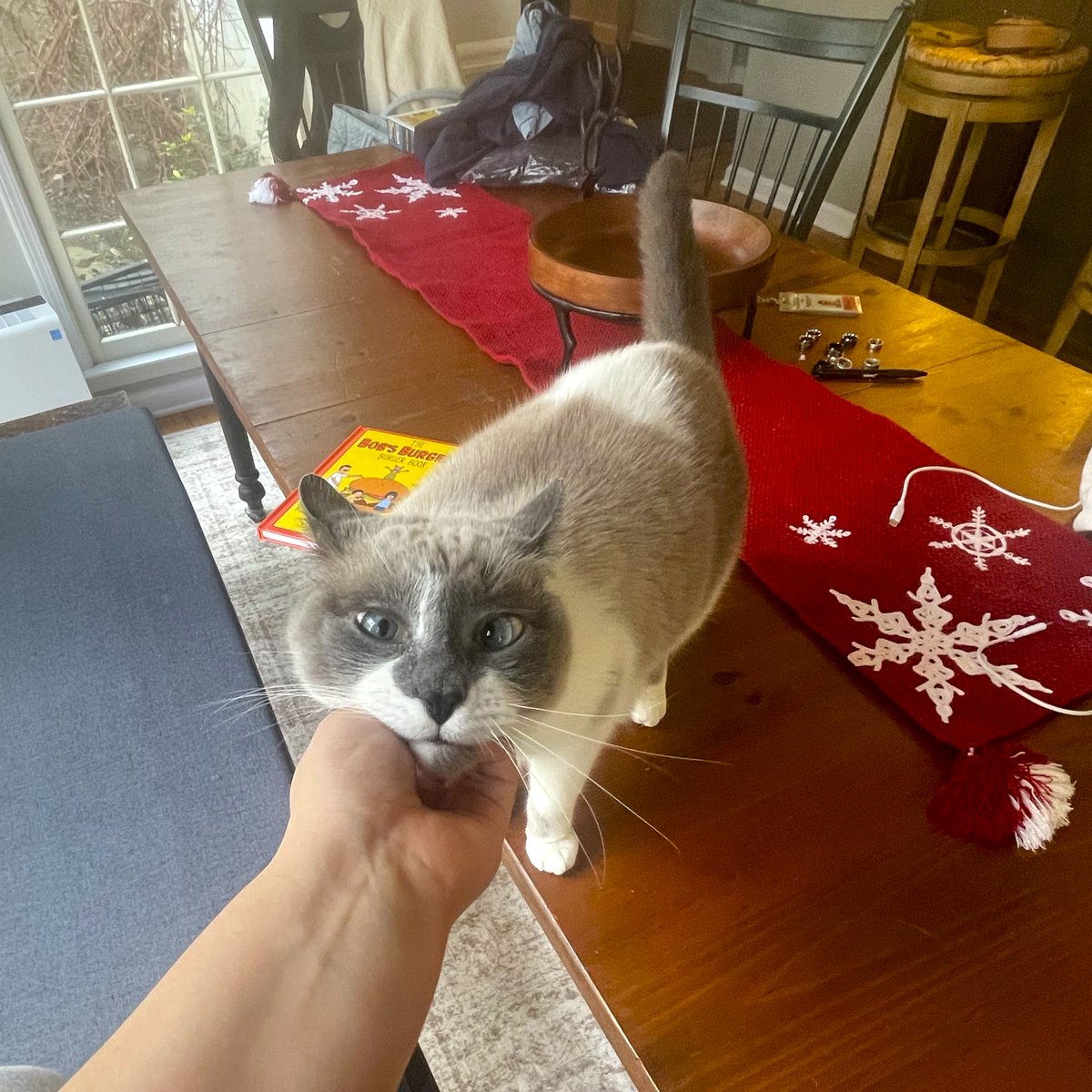 Tree House Humane Society tweet media