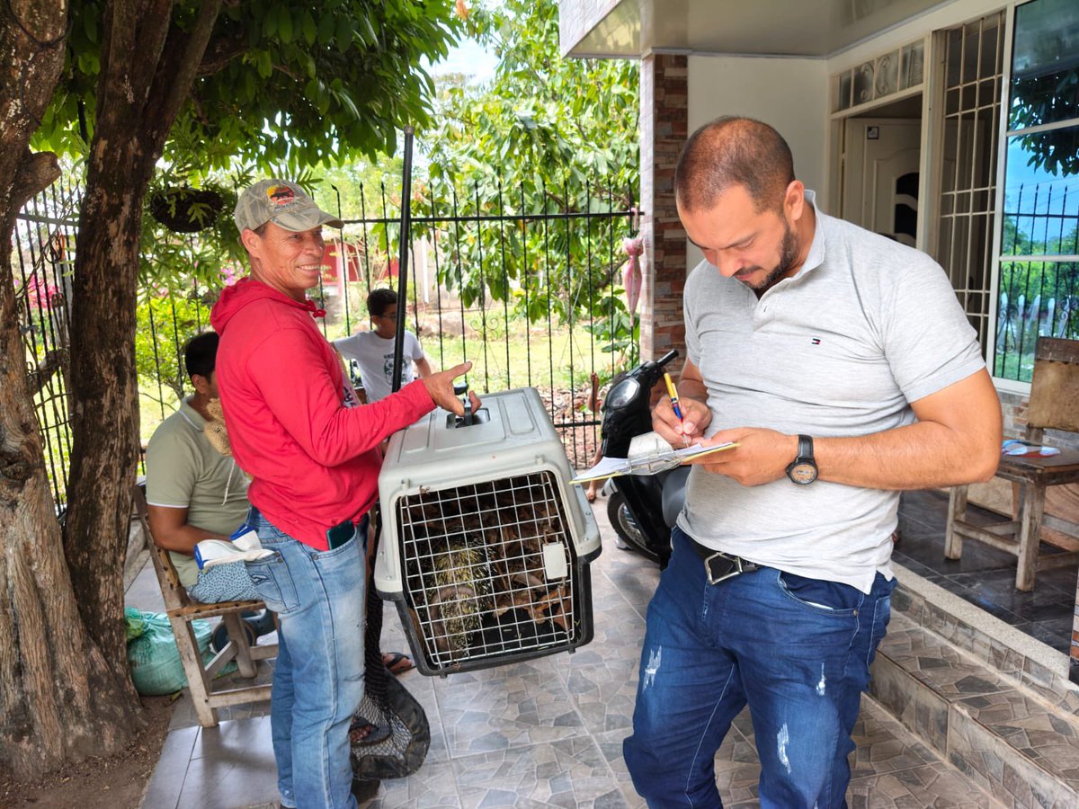 Corpocesar tweet media