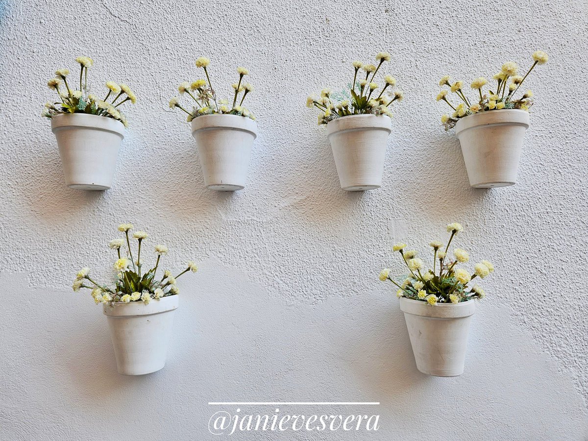 janievesvera's tweet photo. En un rincón de Córdoba
#Córdoba #Andalucía #flores #fotografíaencolor #streetphotography https://t.co/Jfb0EHu0oC