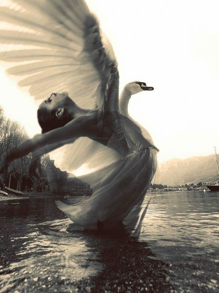 . (@redlightfairy) on Twitter photo 