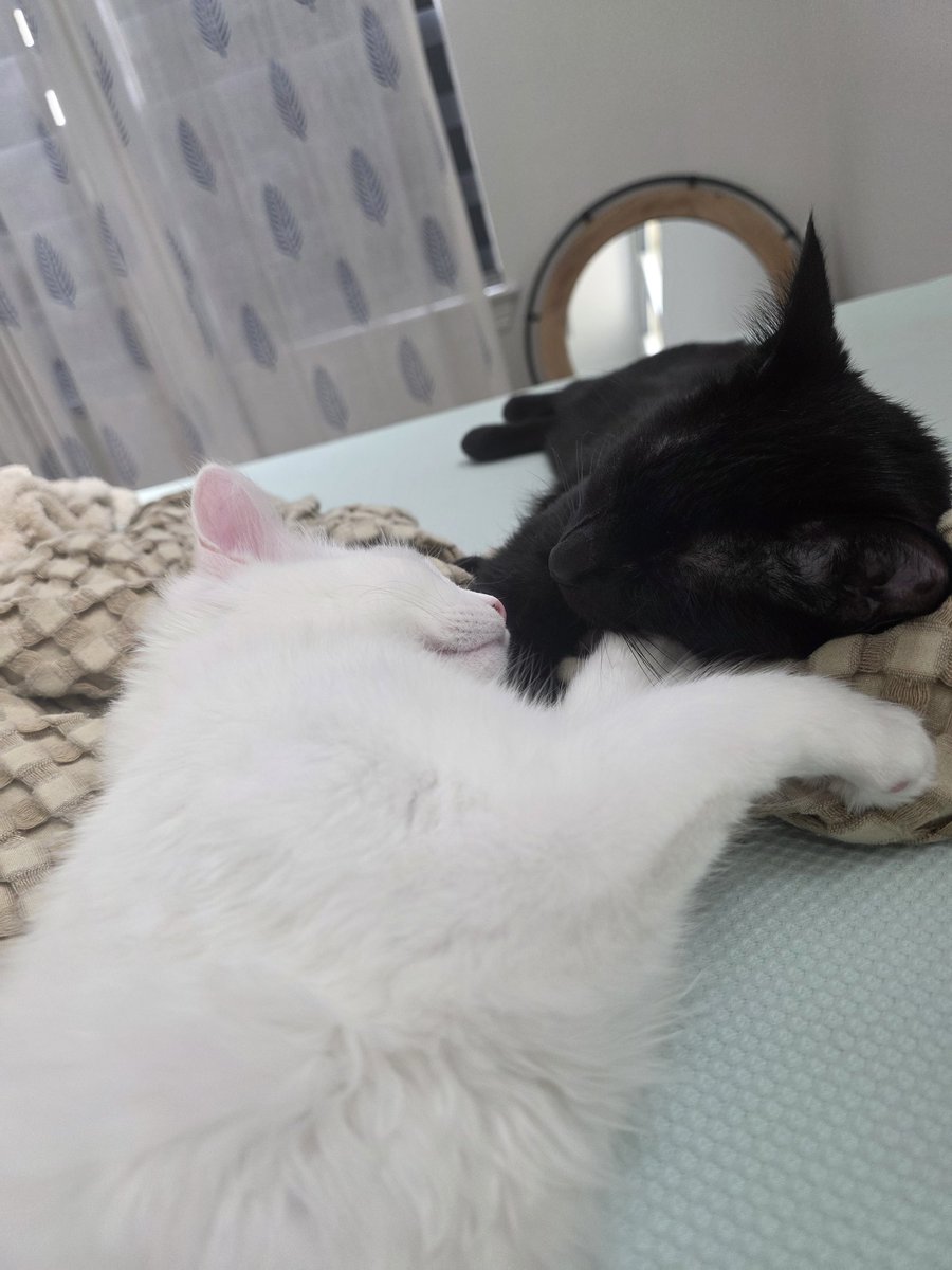 MaryMaybe tweet media