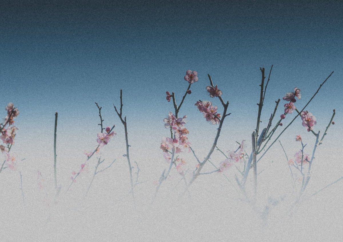 三浦勇人 tweet media