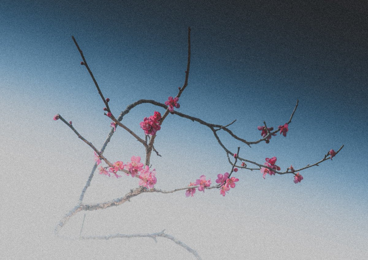 三浦勇人 tweet media