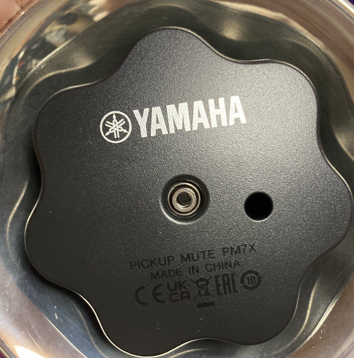 「塩」対応な「斎」(🌶🎤🎺•*¨*•.¸¸♬︎) tweet media