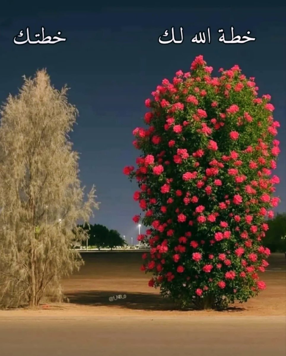 hanangedan's tweet photo. لو عرضت الأقدار 
على الإنسان، لاختار القدر الذي 
اختاره الله له ❤ https://t.co/VQim074tsD