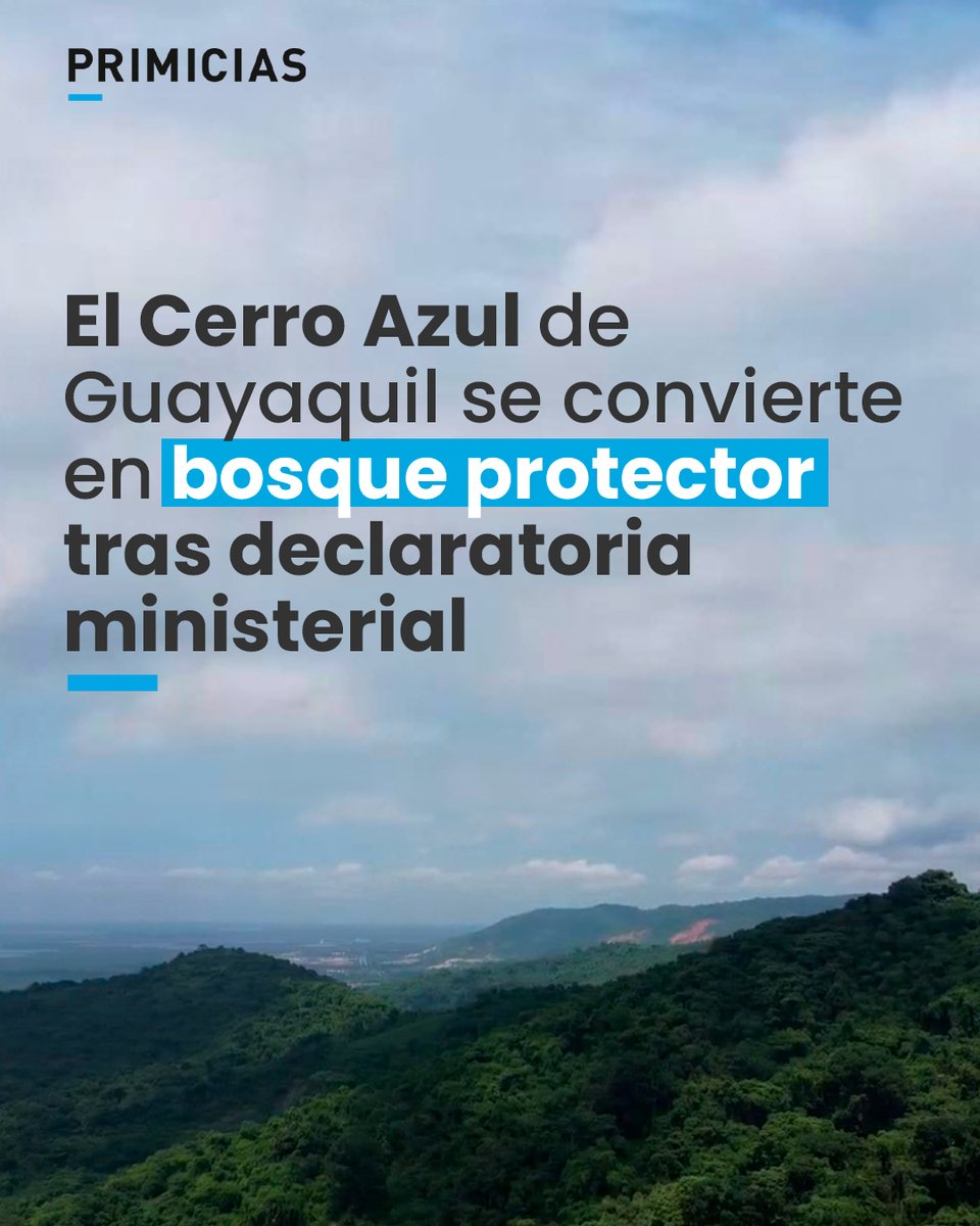 El Cerro Azul tiene 820 hectáreas y, junto al bosque protector Cerro Blanco, constituye uno de los últimos remanentes de bosque seco tropical de la Costa en Guayaquil. 
prim.ec/nWoT50Yqu3x
