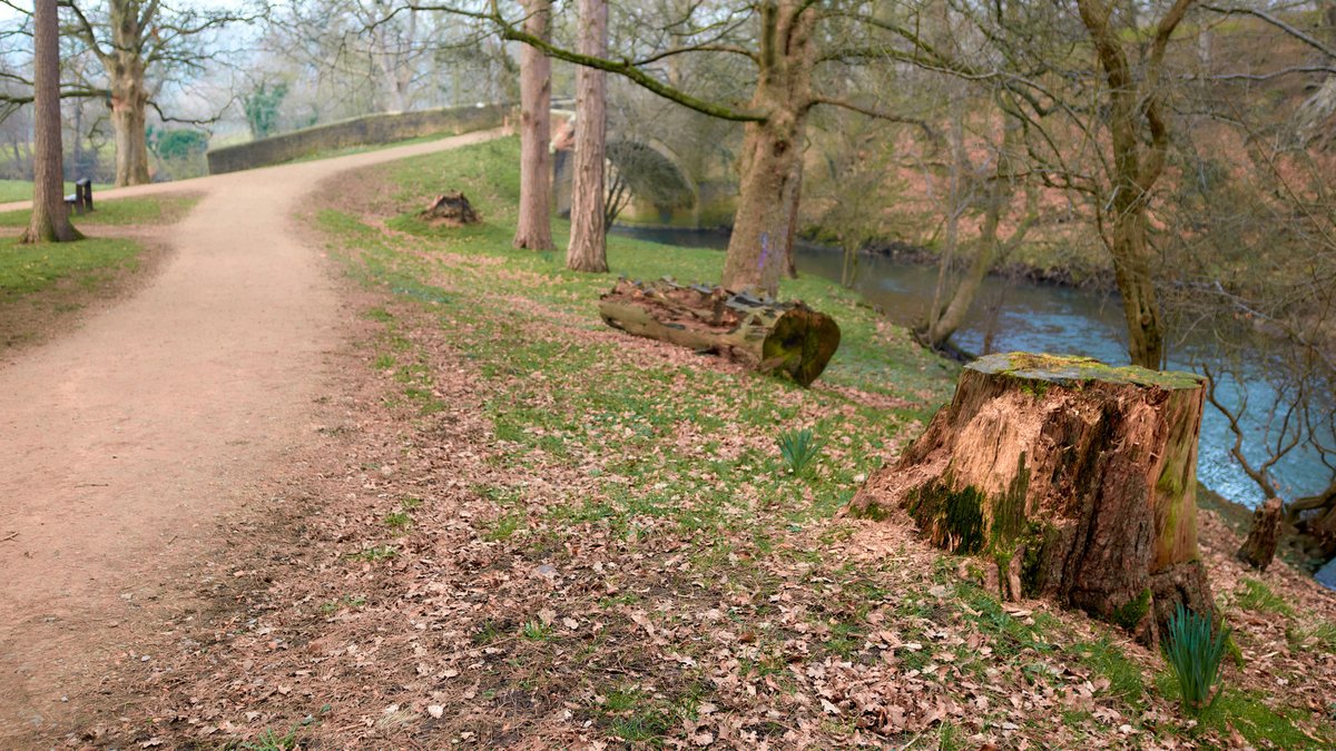 Martin Geddes tweet media