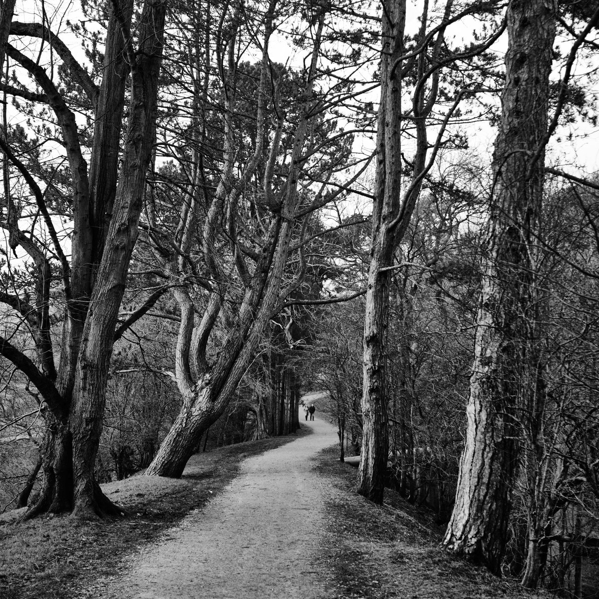 Martin Geddes tweet media