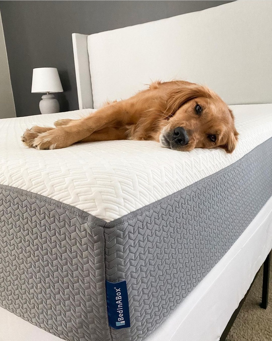 BedInABox.com tweet media