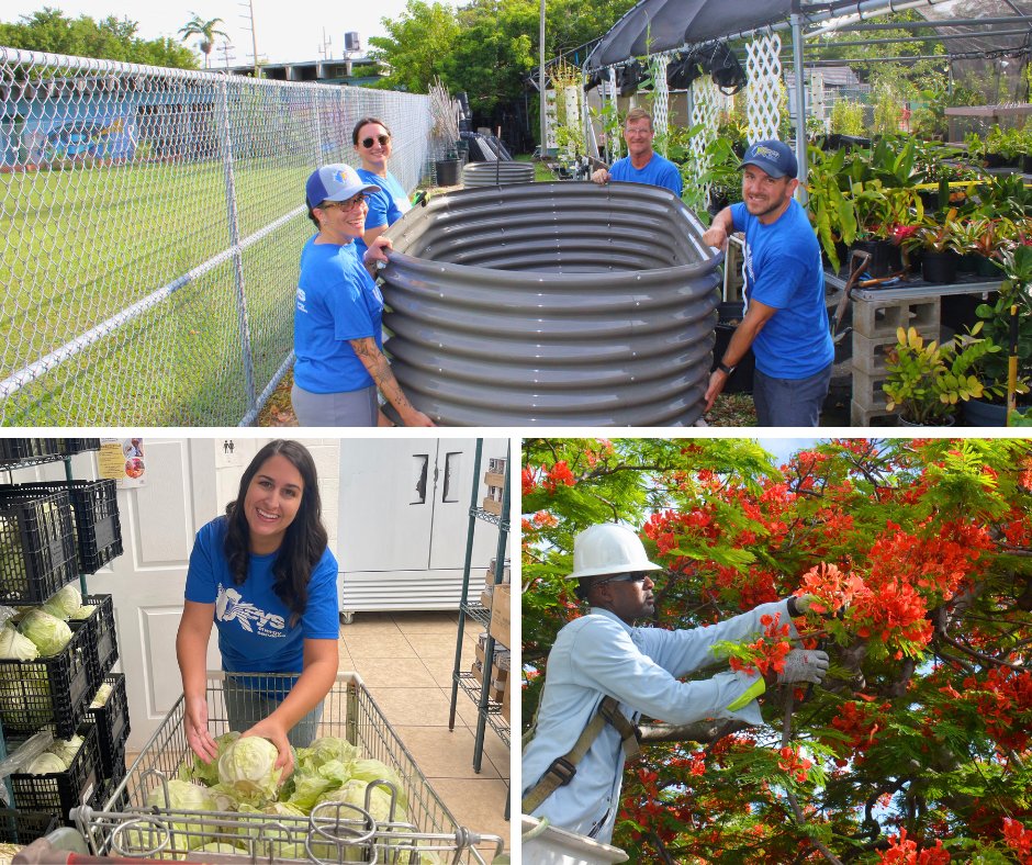 Keys Energy Services tweet media