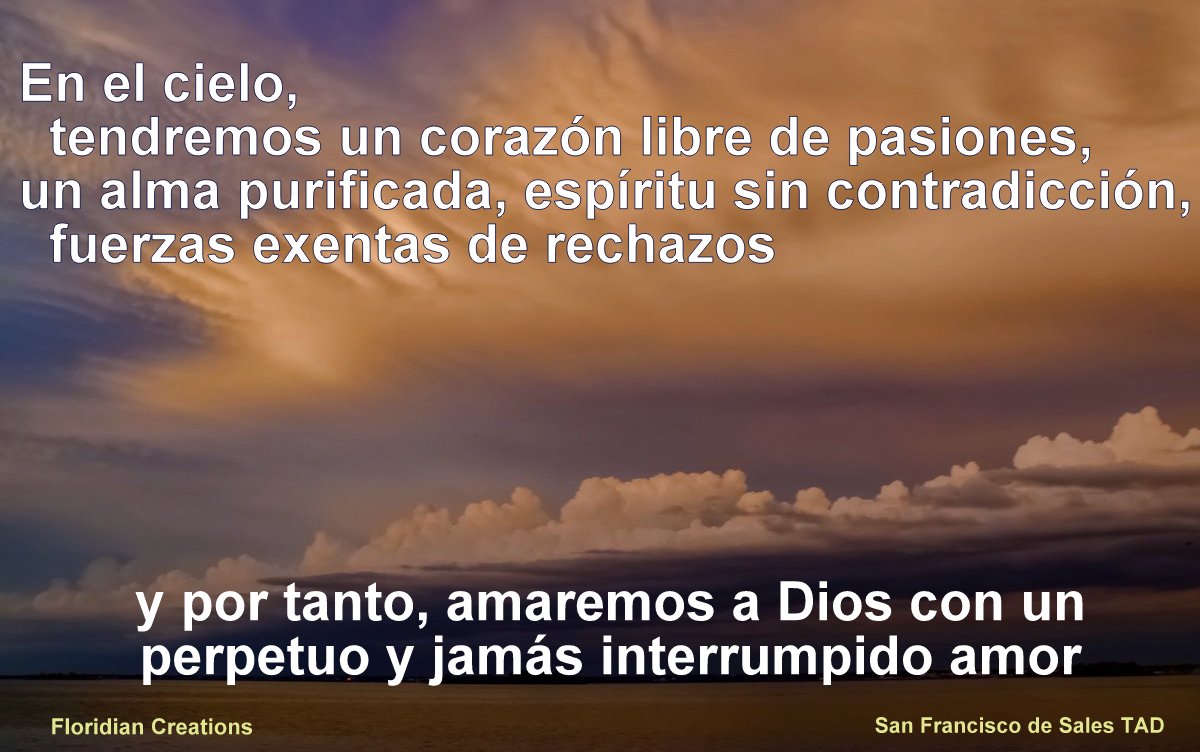 S.Francisco Sales tweet media