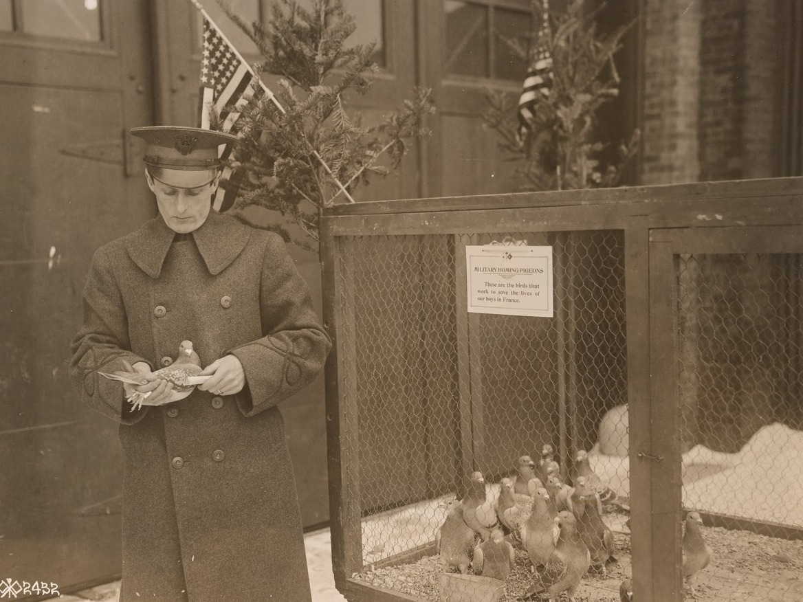 National Museum of the United States Army tweet media