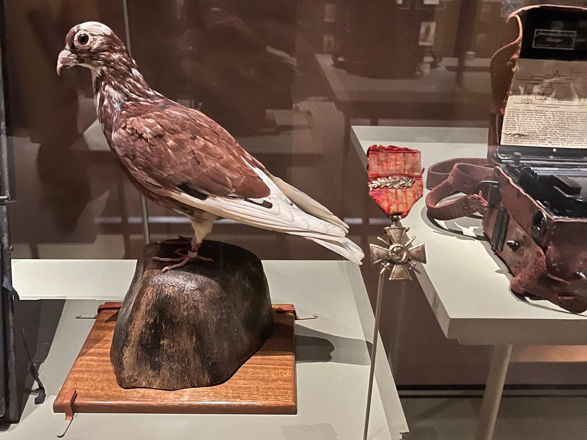 National Museum of the United States Army tweet media