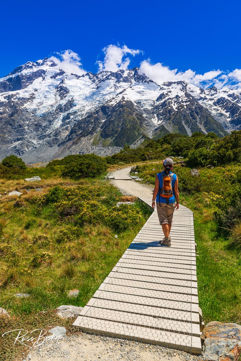 RussBishopPhoto's tweet photo. On the Hooker Valley Track, Aoraki Mount Cook NP, New Zealand  | ©Russ Bishop 

“Pursue some path, however narrow and crooked, in which you can walk with love and reverence.”  ~Henry David Thoreau

Have a great weekend! Stay healthy, stay inspired.

#newzealand #travel #adventure https://t.co/KR7XEyd7xT
