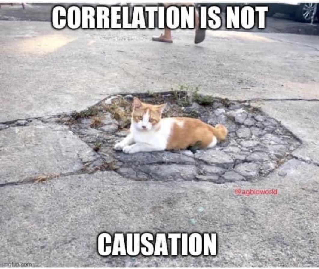 simonmaechling's tweet photo. Cats teach science. https://t.co/vpRyjGg6tG