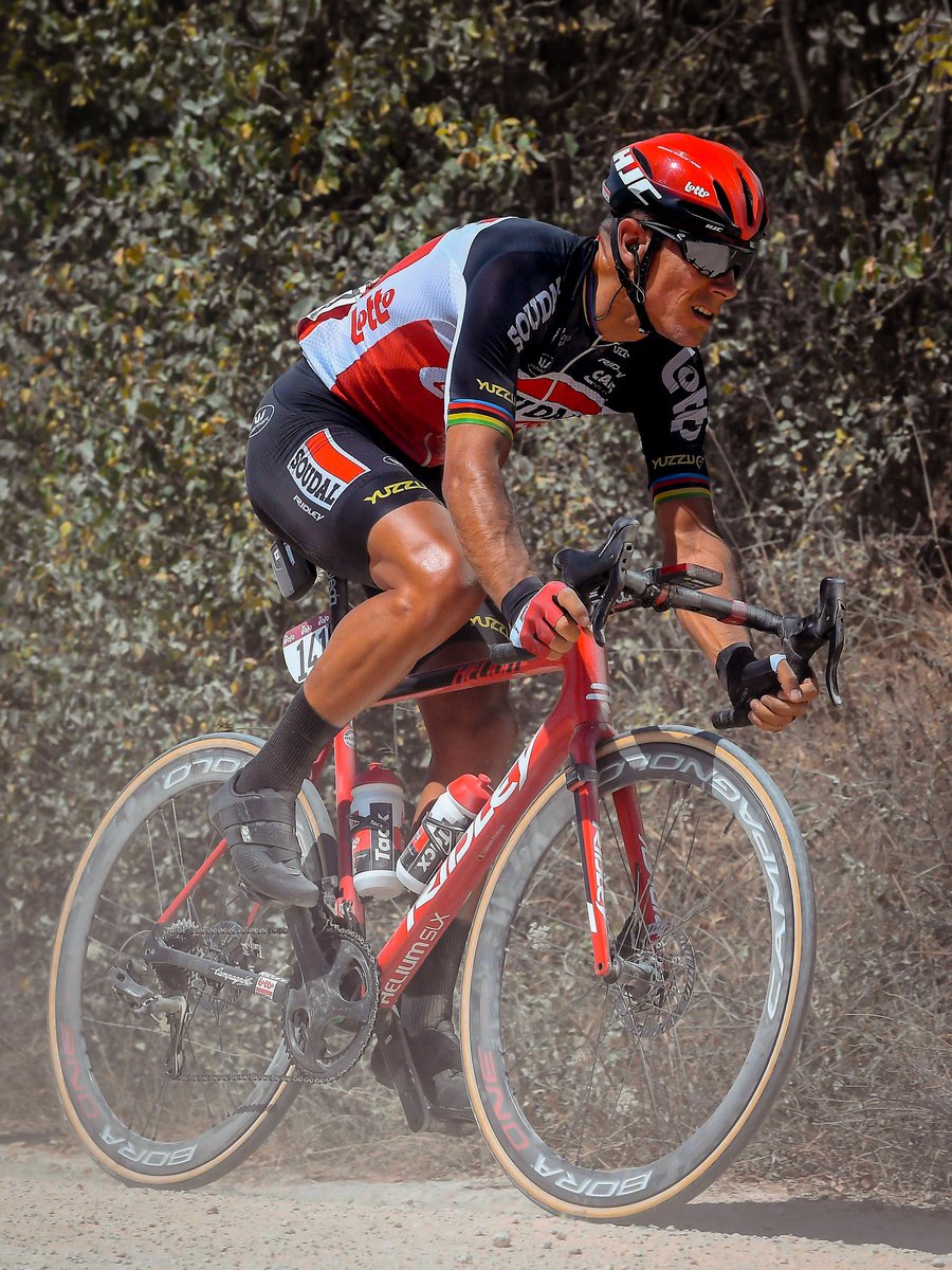 Philippe Gilbert tweet media