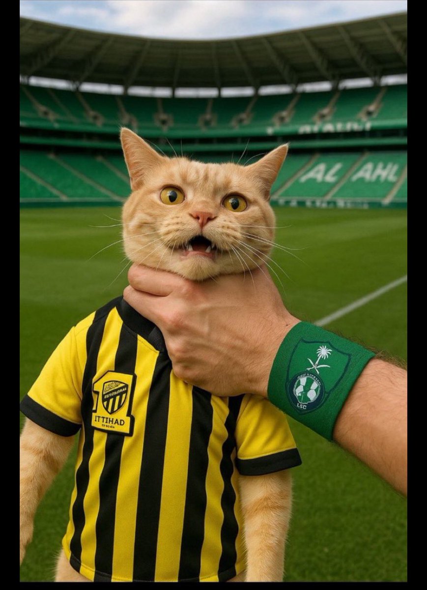 اهلاوي نخبوي2025 tweet media