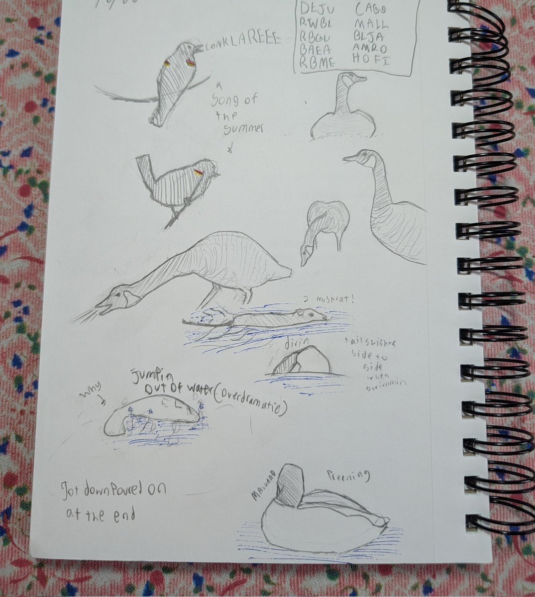 Nature journaling is really fun :)