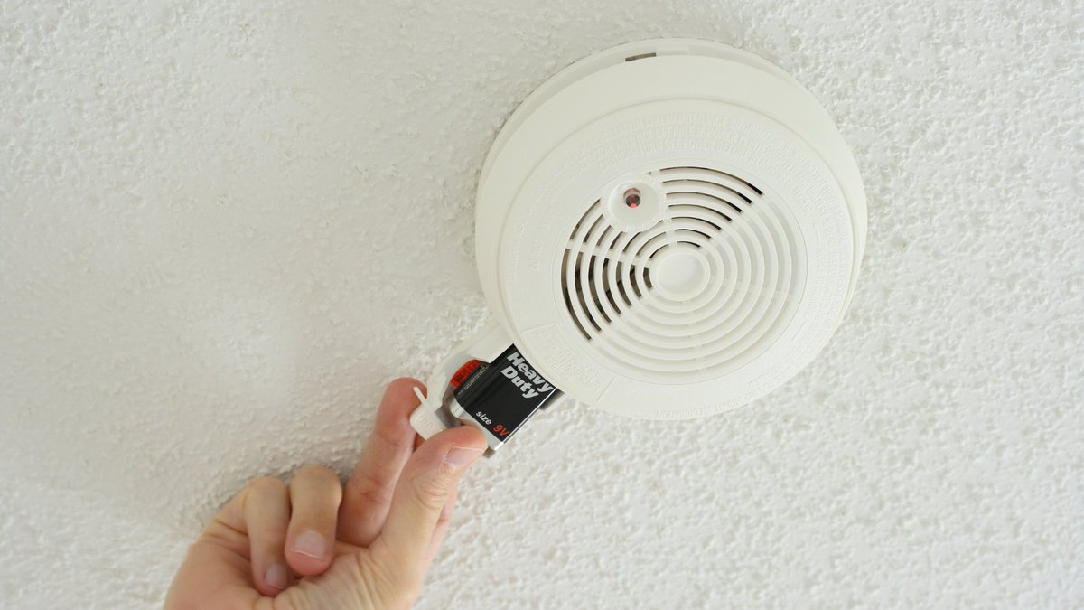 City of Toronto 🇨🇦 tweet media